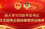 深入学习习近平总书记 在全国两会期间重要讲话精神