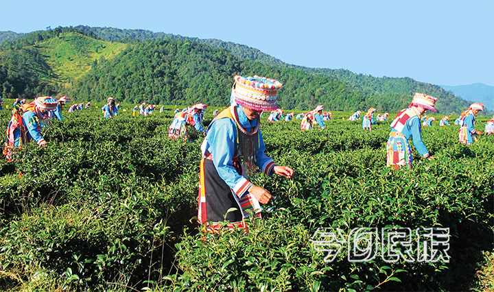 云岭边寨唱响幸福歌