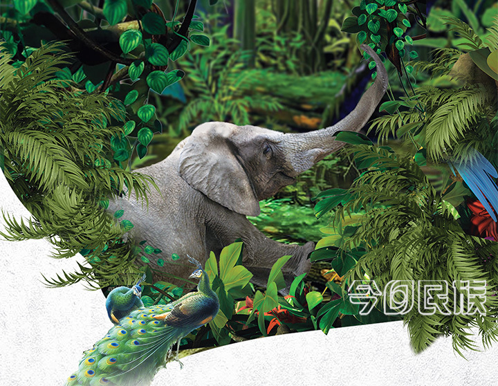 西双版纳傣族自治州创建新一轮全国民族团结进步示范州工作实践