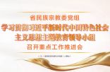 省民族宗教委党组学习贯彻习近平新时代中国特色社会 主义思想主题教育领导小组召开重点工作推进会
