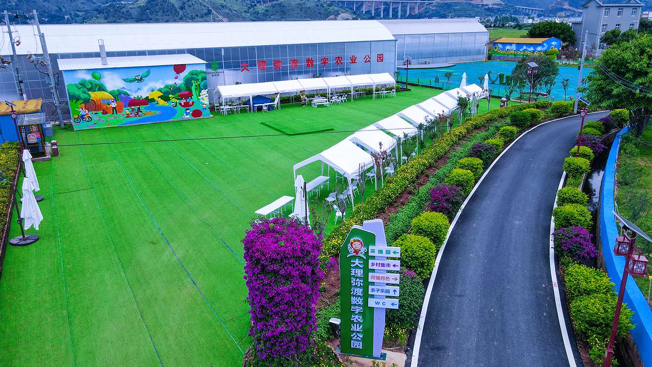 大理弥渡：打造现代农业共同体 谱写民族团结进步新乐章