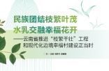 民族团结枝繁叶茂 水乳交融幸福花开——云南省推进“枝繁干壮”工程和现代化边境幸福村建设正当时