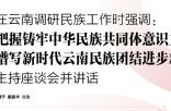 潘岳在云南调研民族工作时强调： 牢牢把握铸牢中华民族共同体意识主线 努力谱写新时代云南民族团结进步新篇章 王宁主持座谈会并讲话