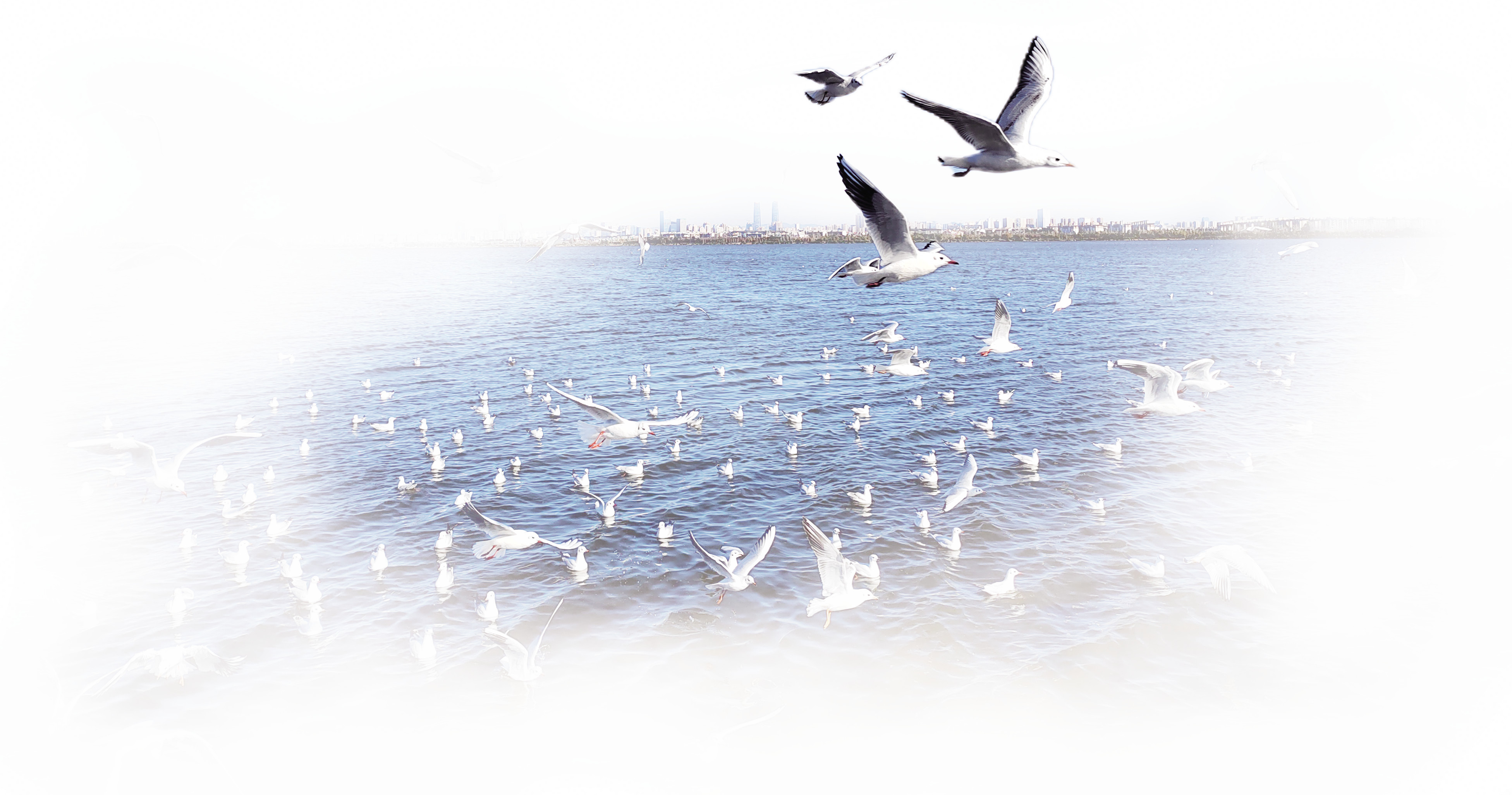 西山区：谱写滇池沿岸 民族团结进步曲