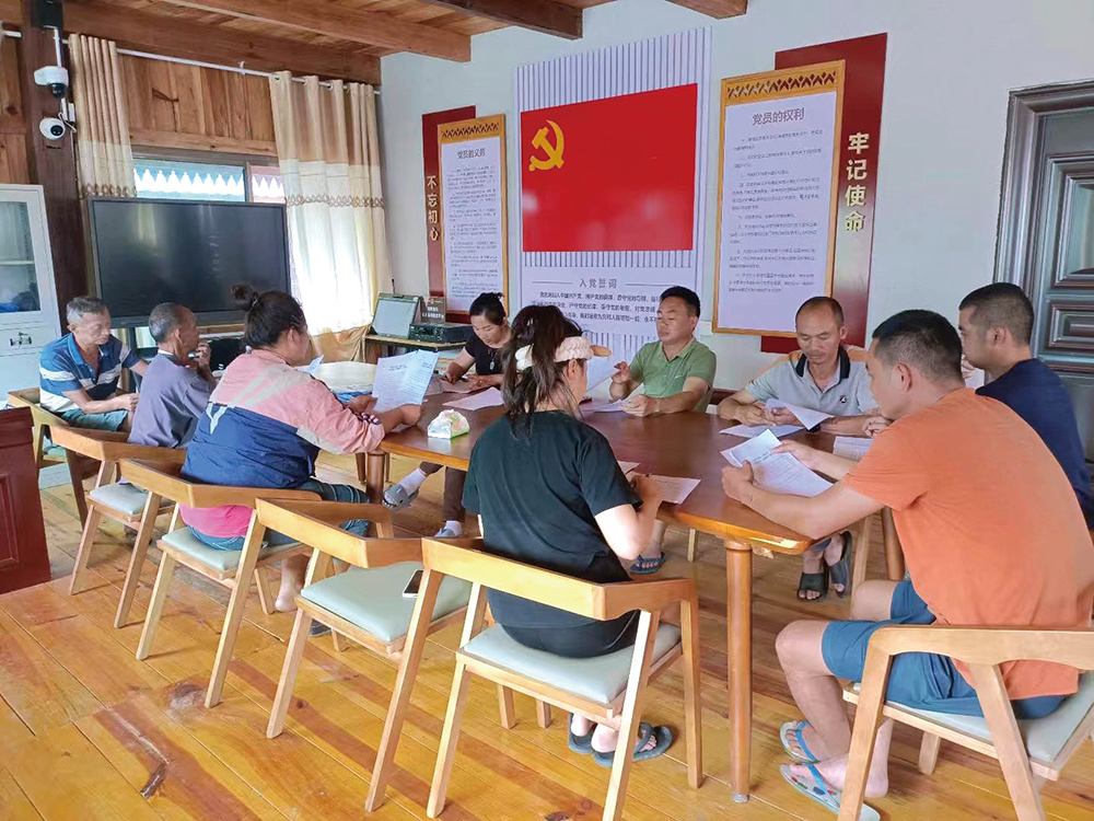 打洛村委会龙利村小组党员活动 玉儿囡摄.jpg