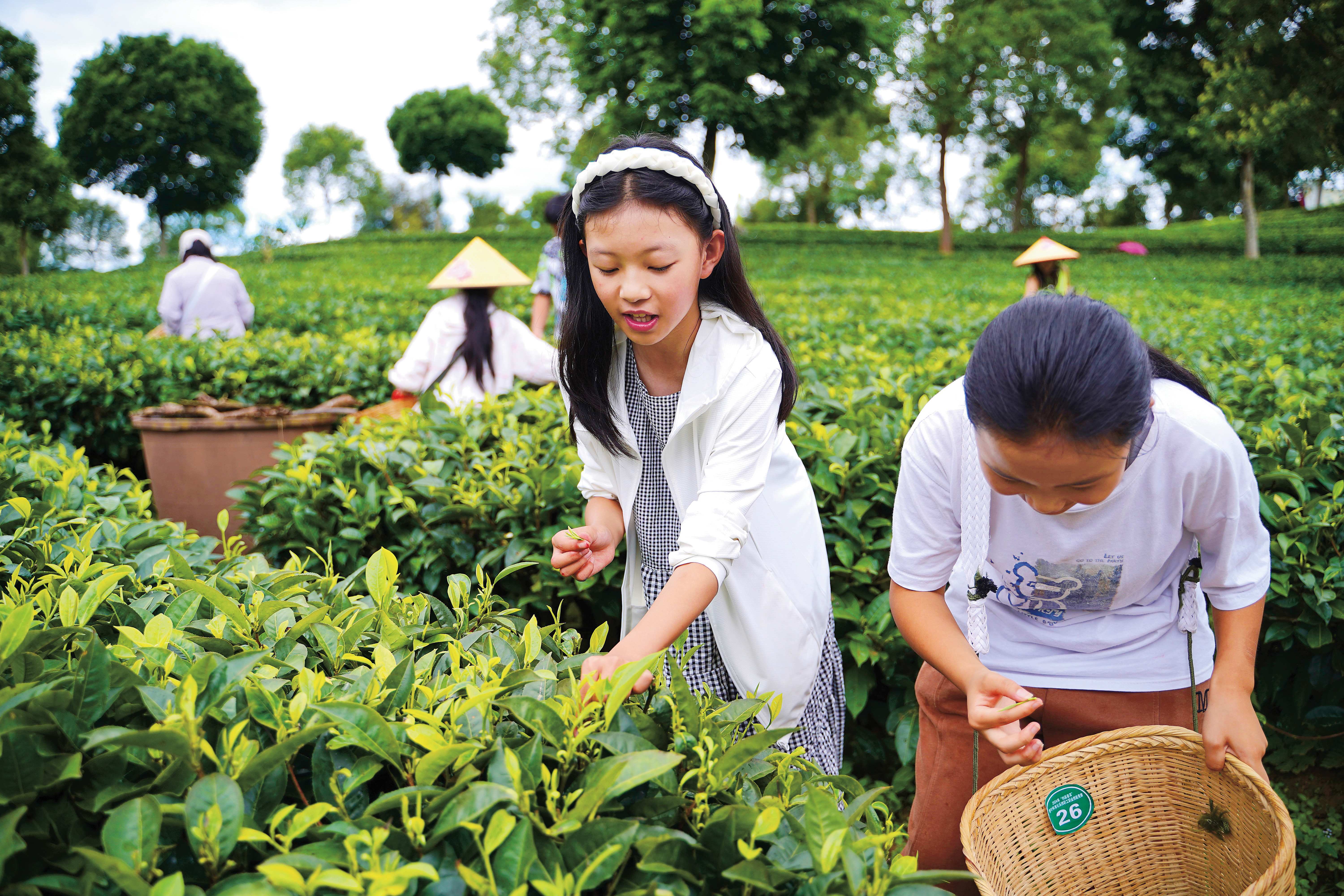 “命运纽带”共绘民族团结和谐画卷——中老（中越）铁路沿线民族团结进步创建联盟首次青少年交流活动综述