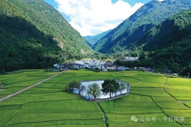 云岭石榴红|临沧：共绘新时代民富边稳新画卷