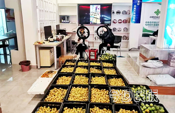 数字赋能，让乡村振兴“智”起来——绿春县“电子商务+民族团结”工作情况介绍