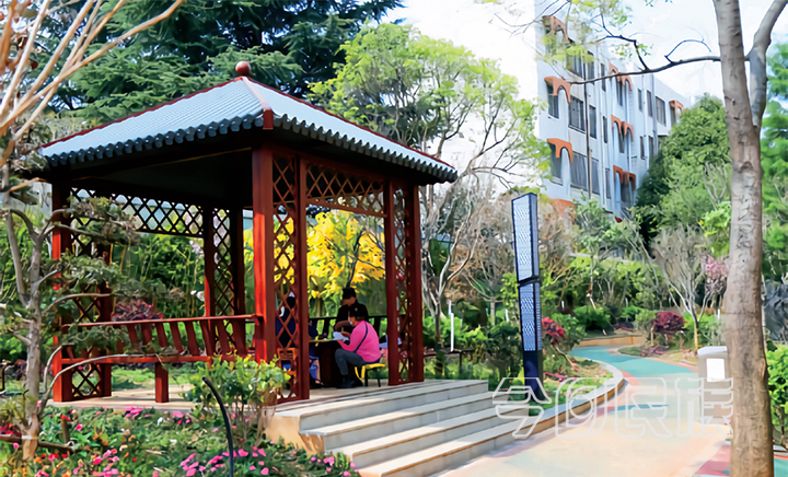 曲靖市麒麟区白石江街道：老旧小区展新颜，幸福巷里幸福花