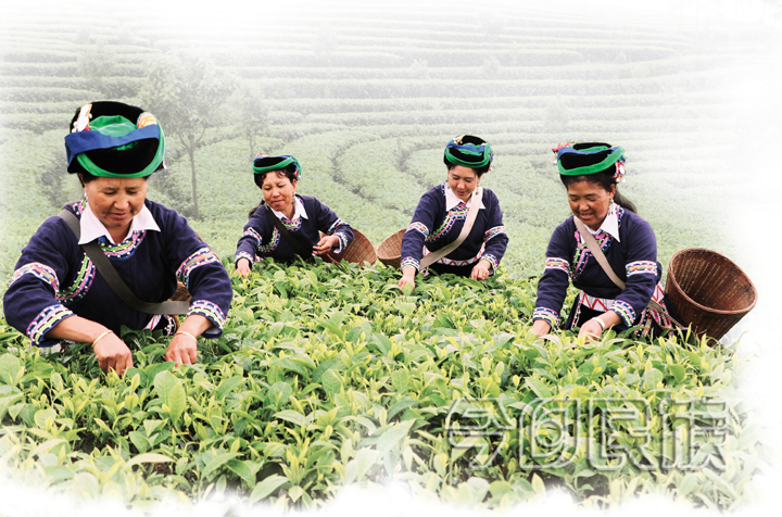 勐簸：民族团结进步示范新典范