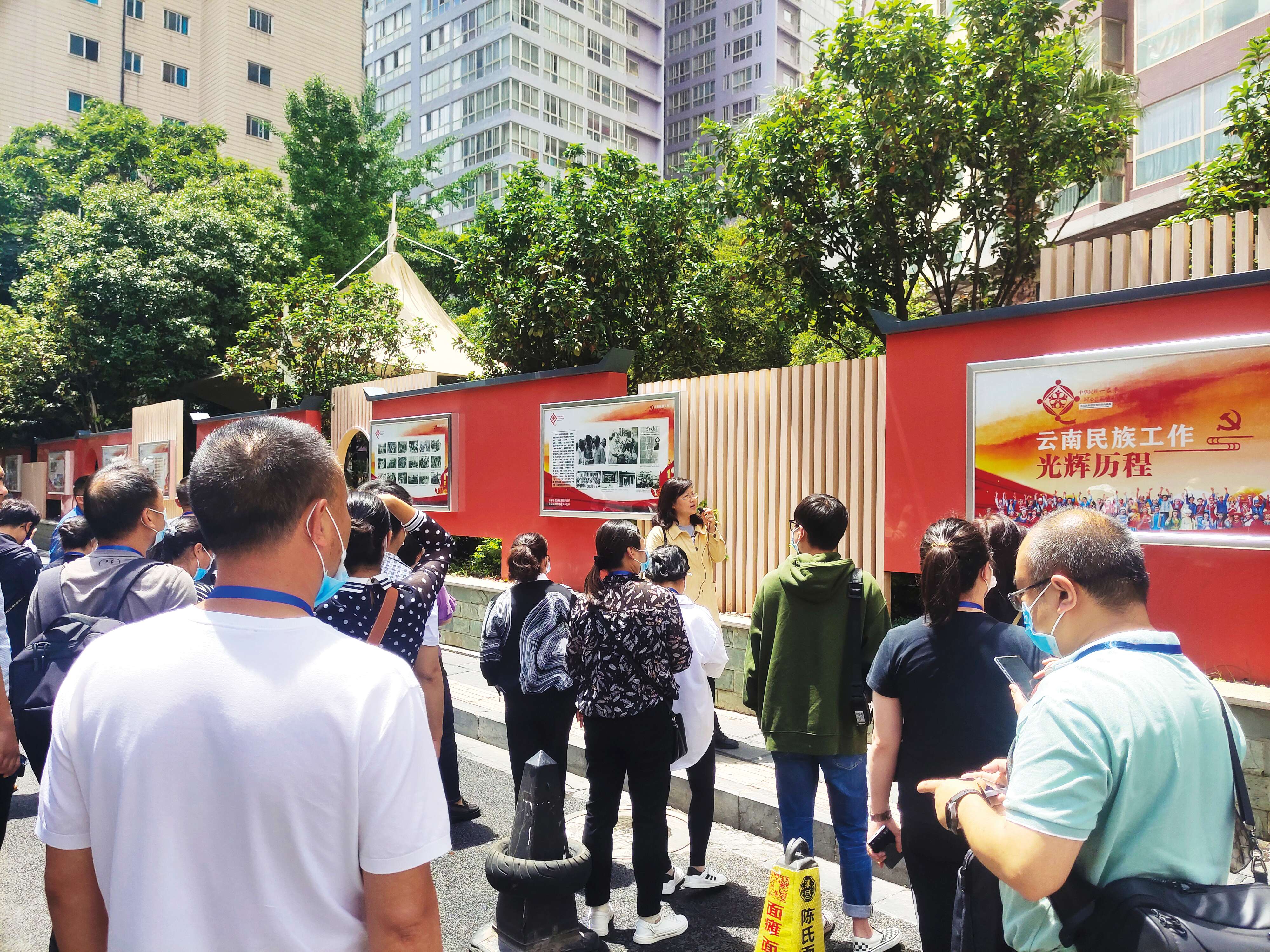 桃源盛开团结花