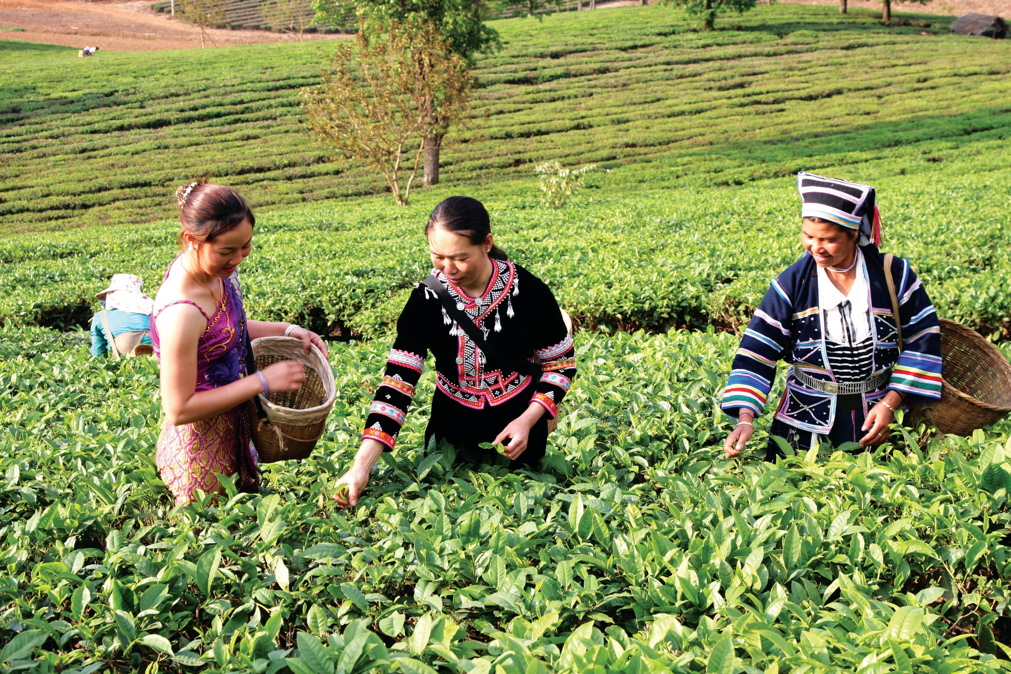 “赛嗨”生产互帮，绘出团结美图 拷贝.jpg