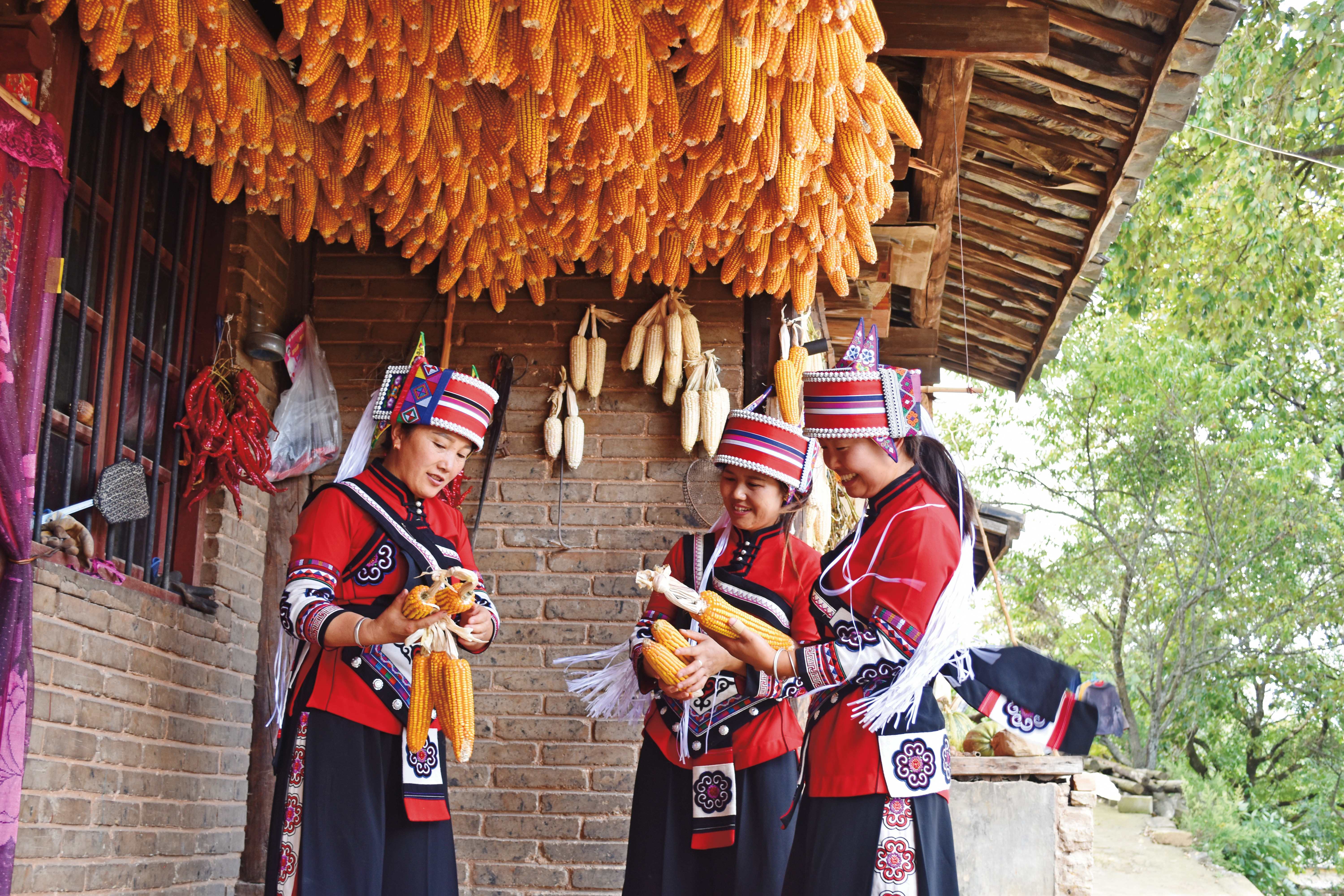 打好民族团结牌 共筑和美家园梦——曲靖市陆良县龙海乡打造民族团结进步示范新亮点