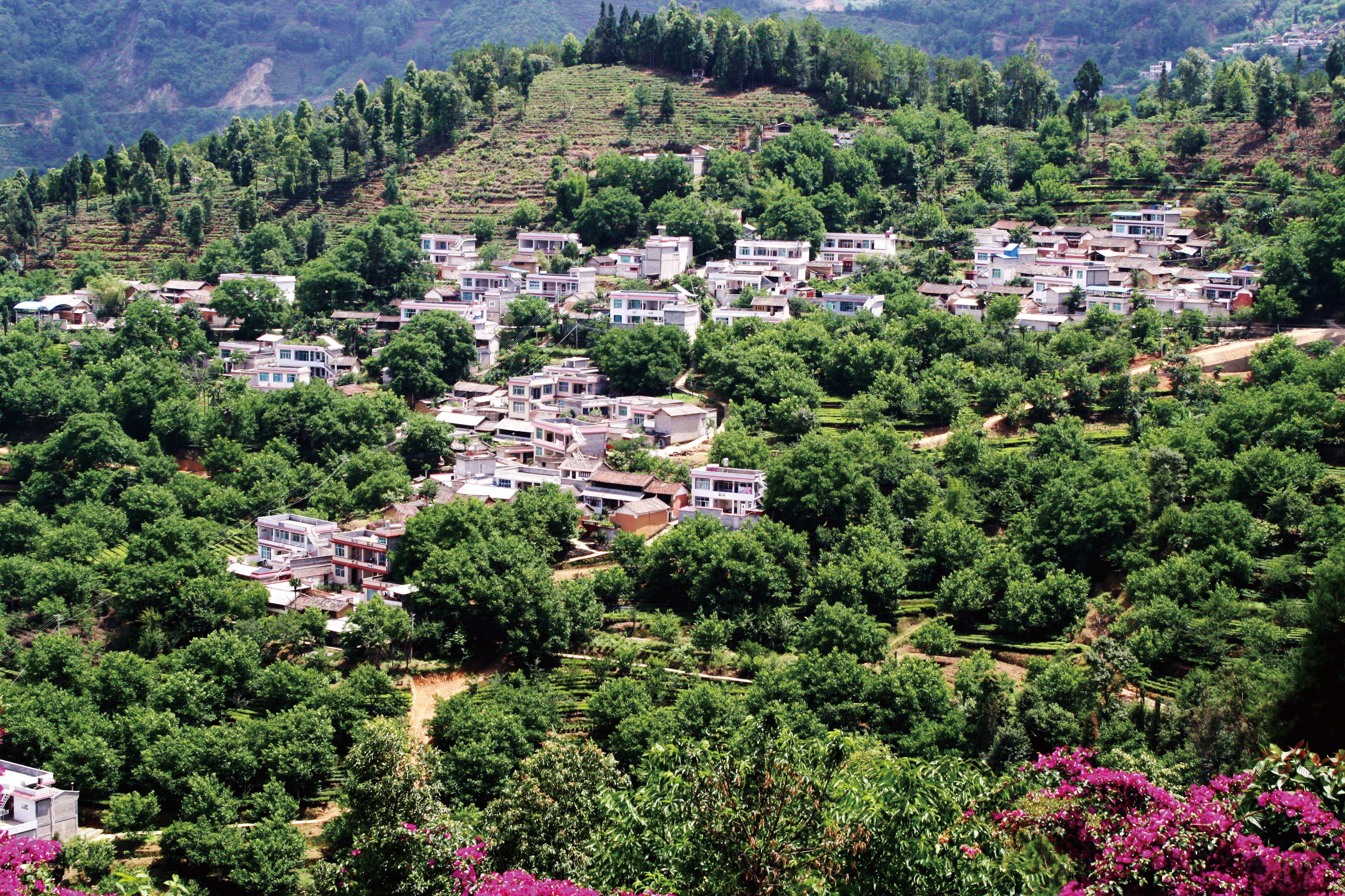 凤庆县“七个融合” 全域推进民族团结进步创建