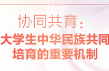 协同共育：新时代大学生中华民族 共同体意识培育的重要机制