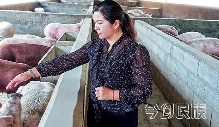 郑灵芬：“明子”一样的女人