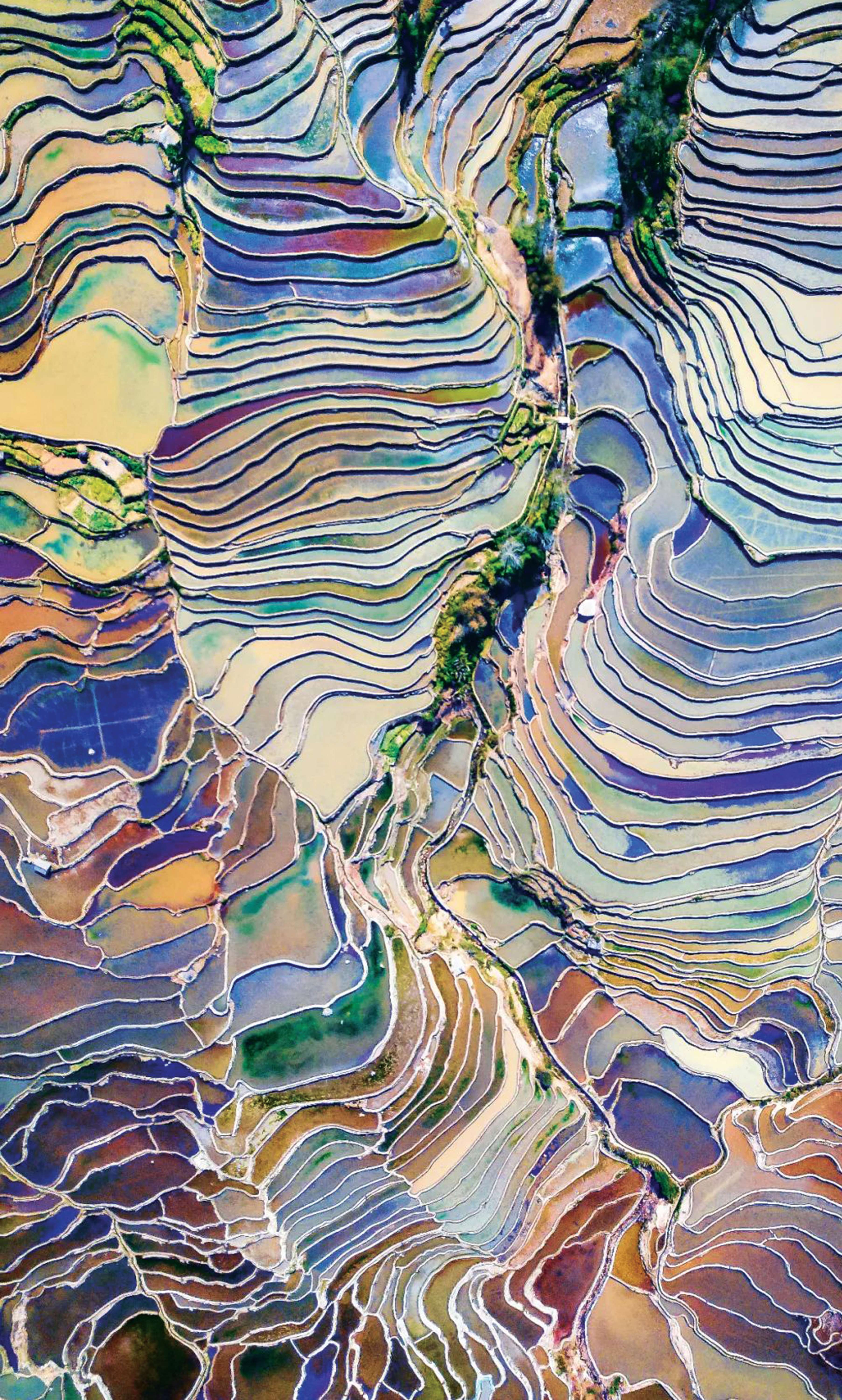 红河哈尼梯田：书写在大地上的恢宏史诗