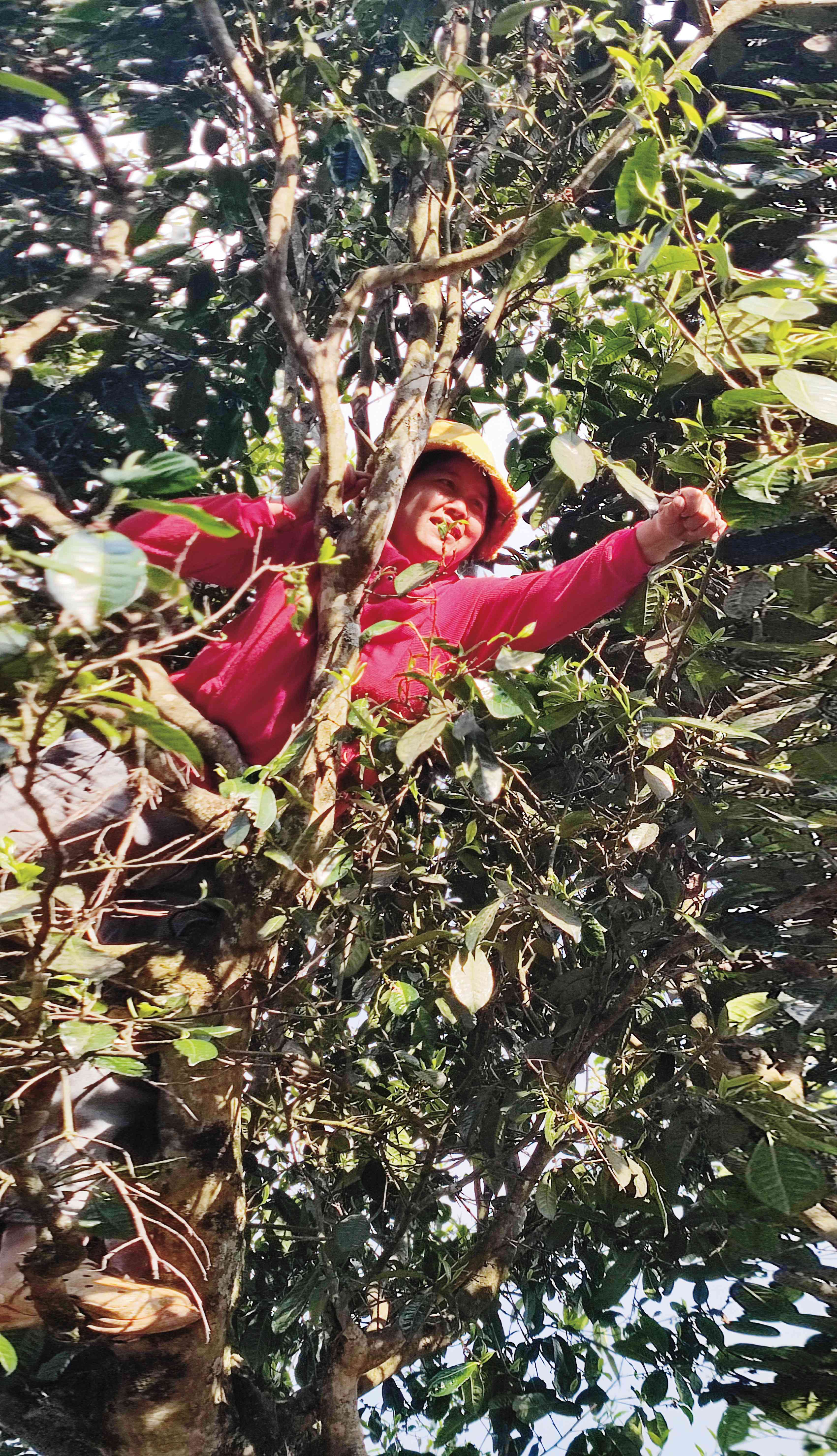 jrmz0330l-3p 拷贝.jpg