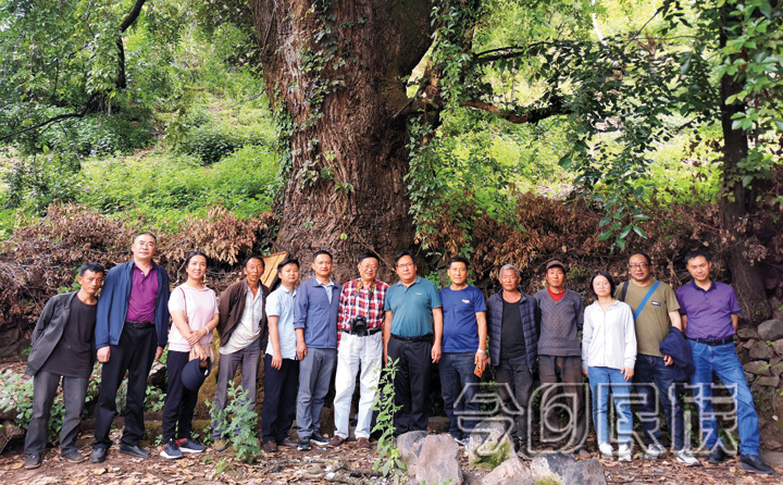 滇西北的民族“三交”调研随记