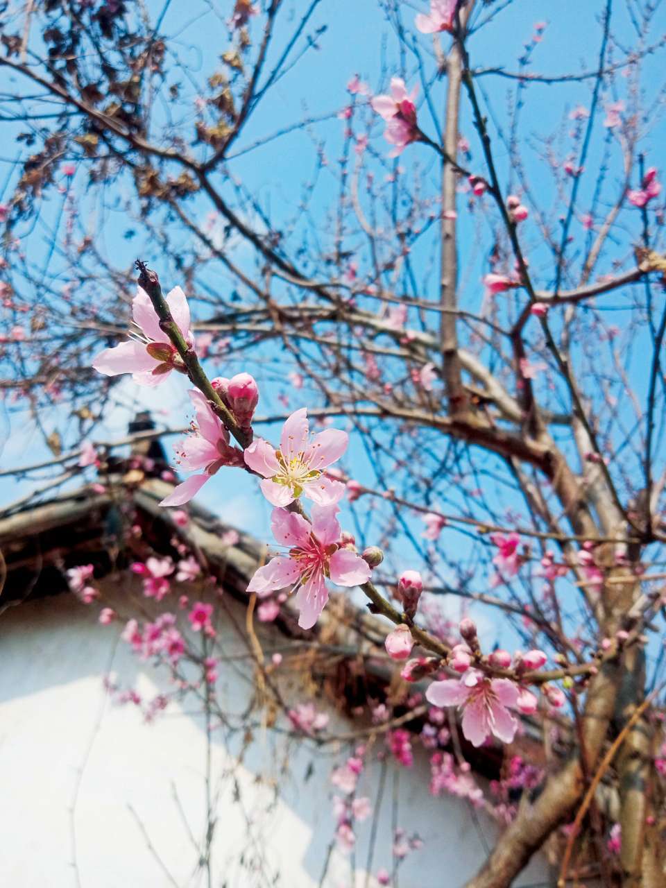 追寻团街红色足迹，传承红军长征精神