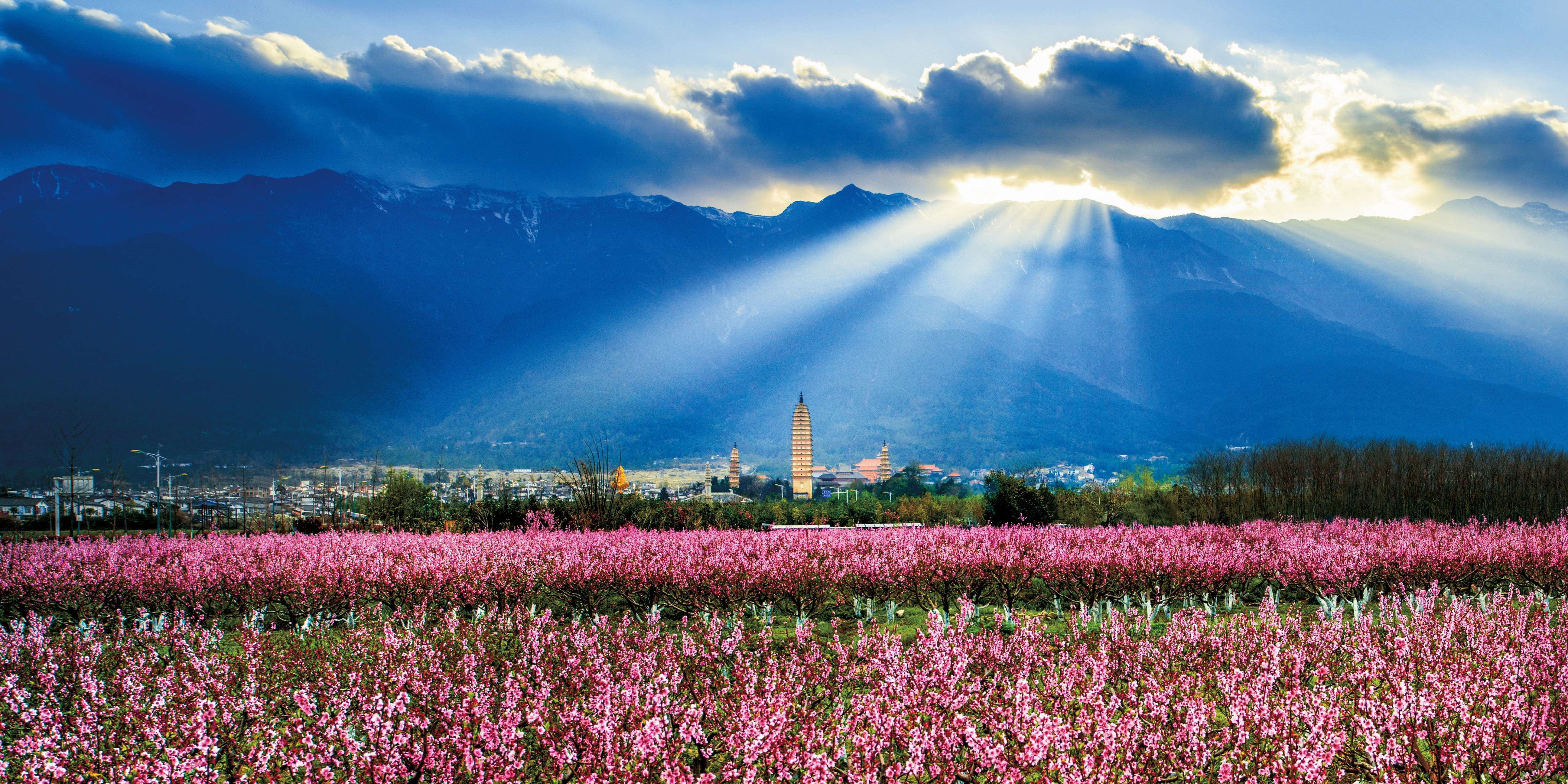 枝繁干壮同筑梦 美美与共聚人心——大理州着力构筑中华民族共有精神家园