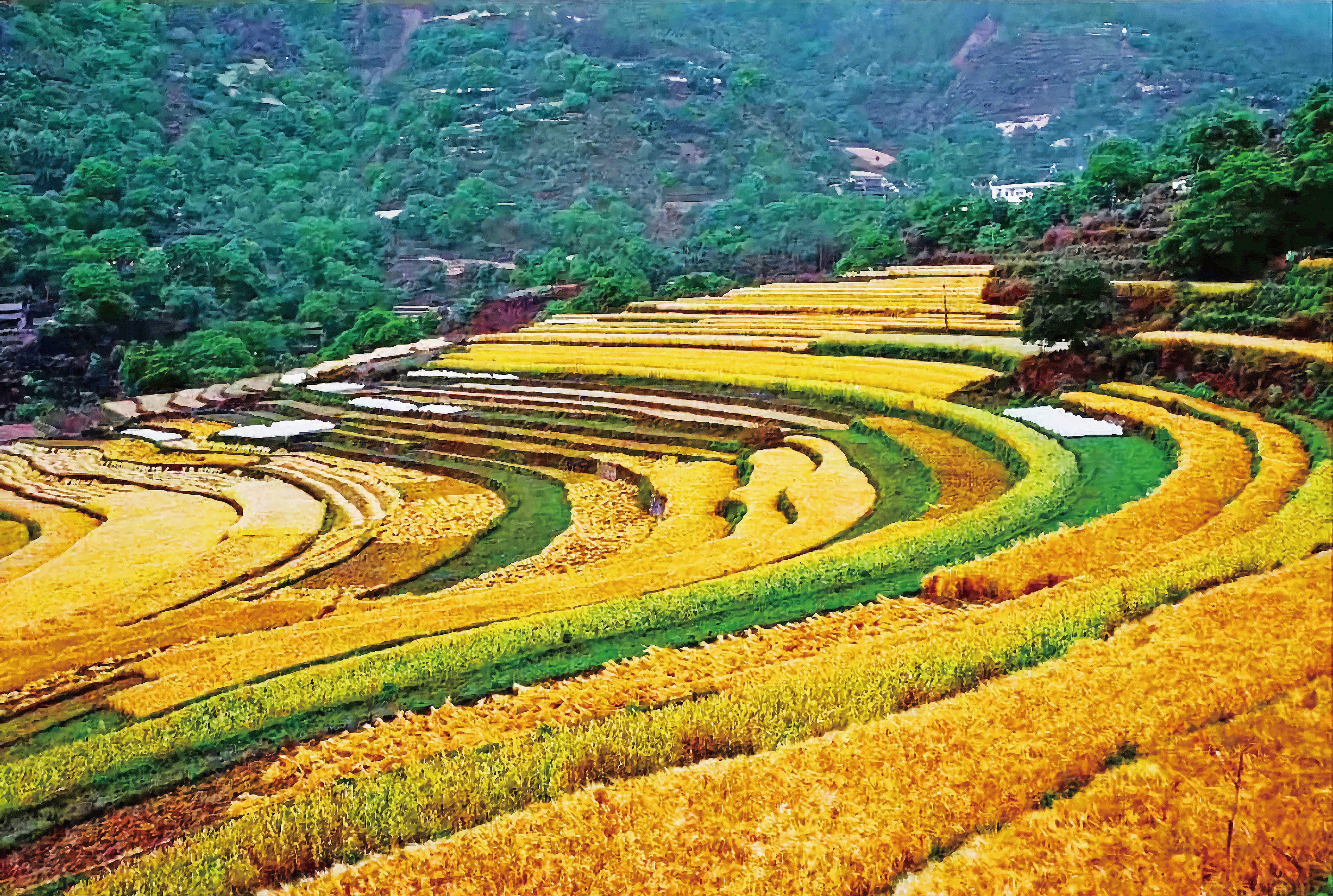 高发村采风有感