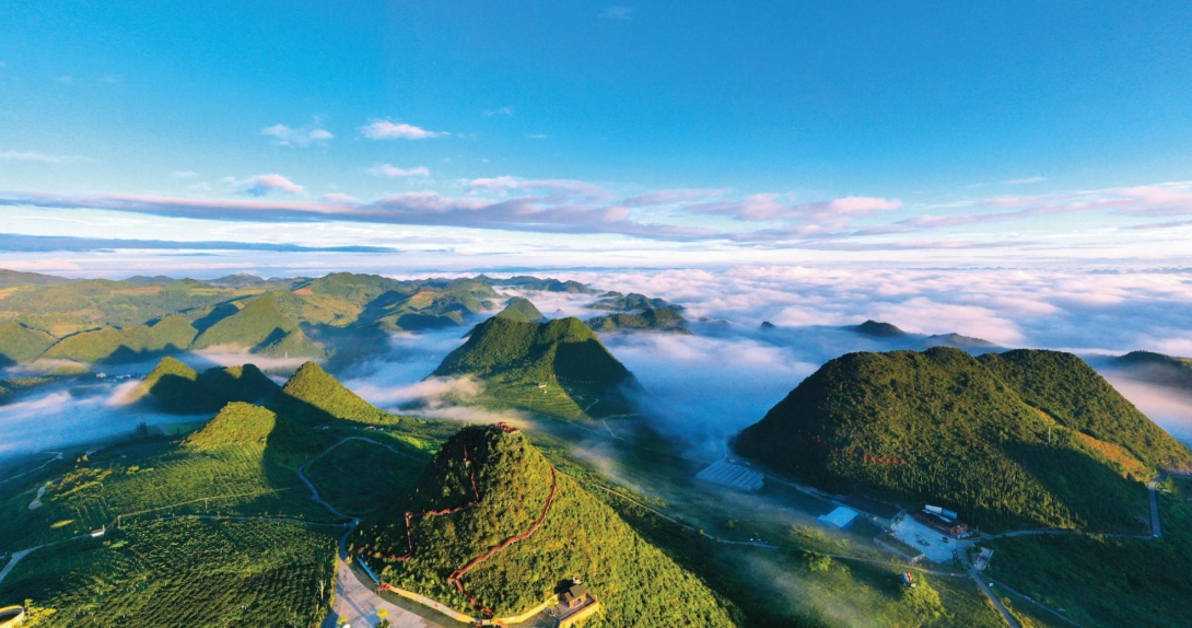 石漠荒山展青绿 不辞沧海变桑田——文山州西畴县以“西畴精神” 为引领推进山变青产业兴