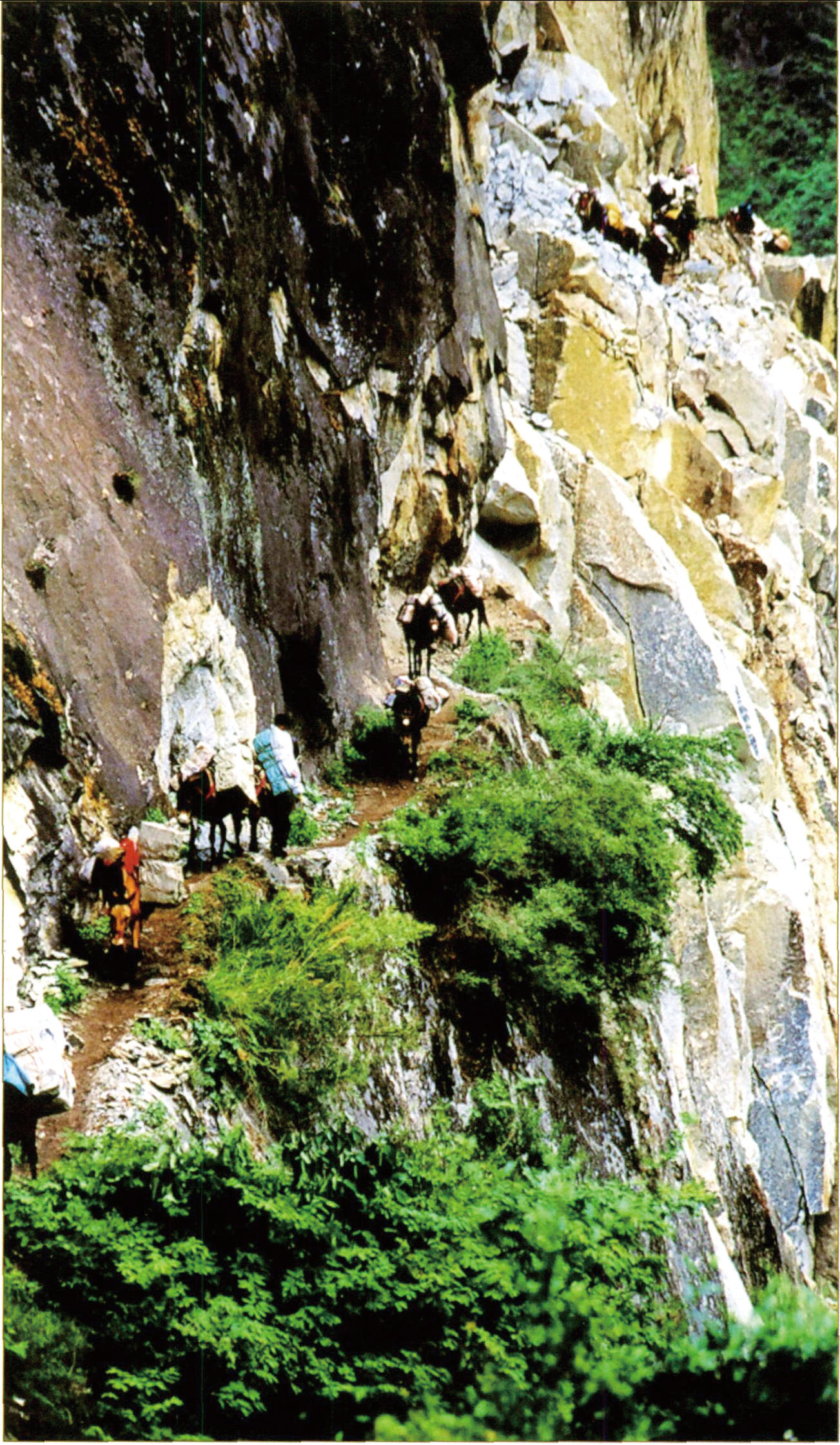 滇藏茶马古道：中华民族交往交流交融的重要通道