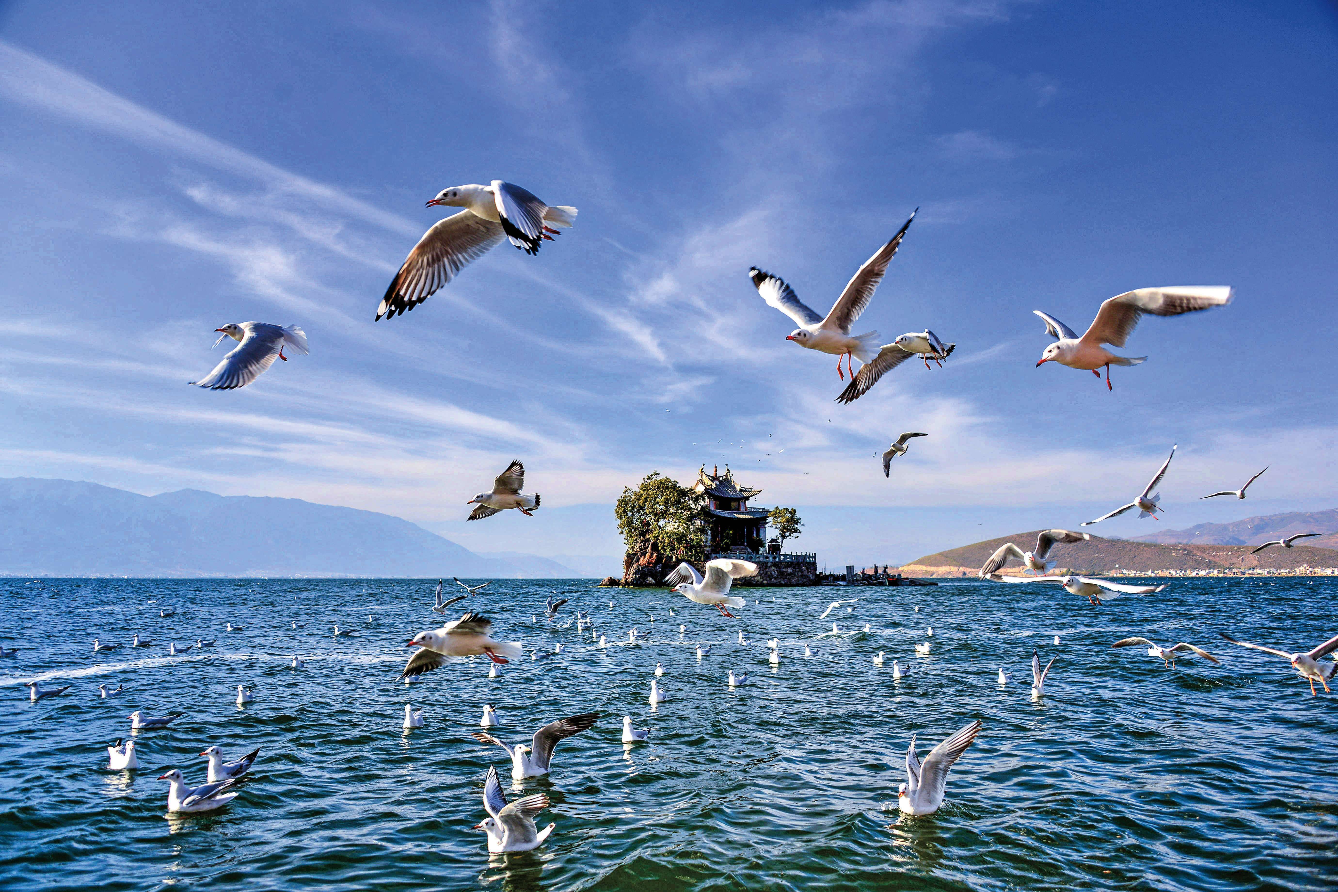 久久为功守护玉洱银苍——大理州推进洱海保护建设宜居宜业和美乡村