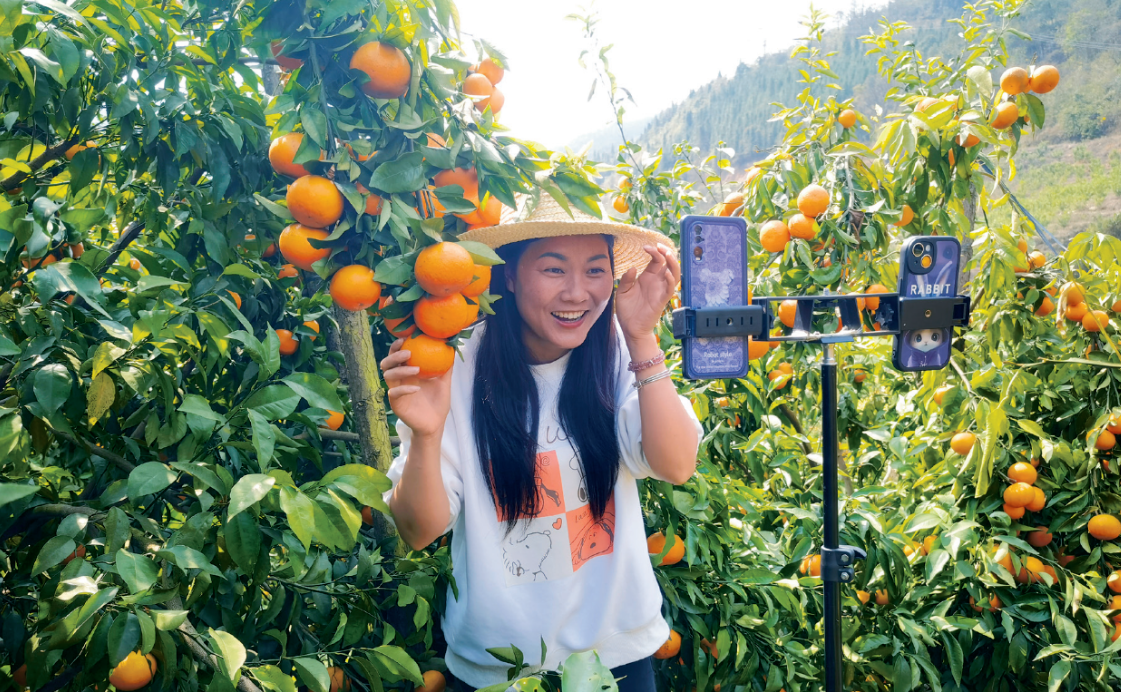 1751354037612024014.png image.png