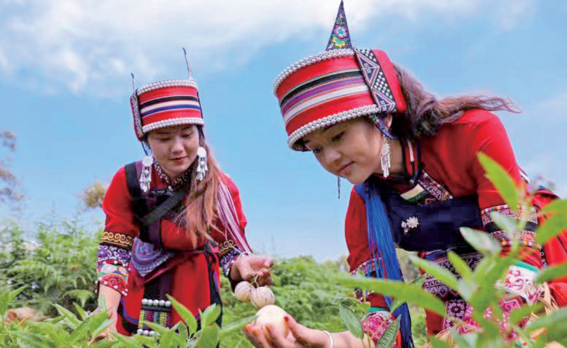 1751356228312090642.png image.png