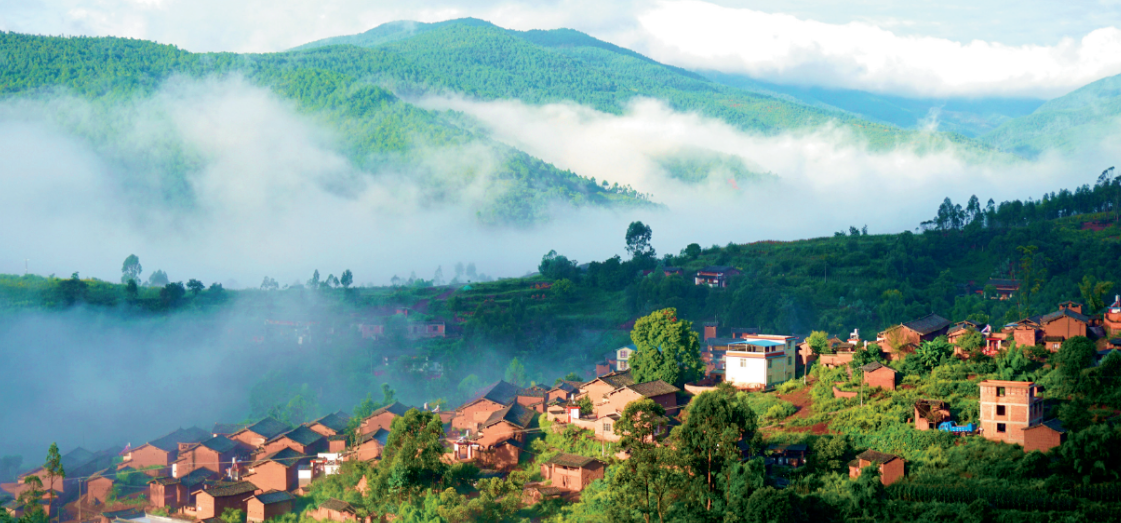 1751418380847060382.png image.png