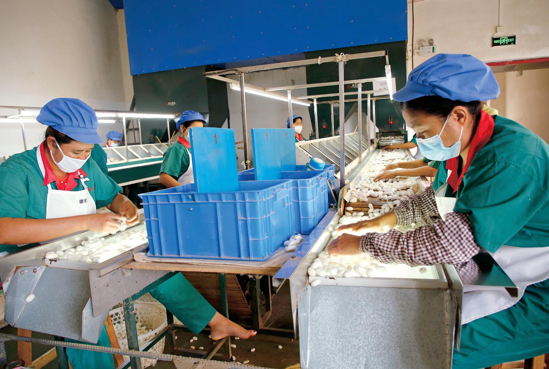 1772777405584063210.png 1772777405584063210.png