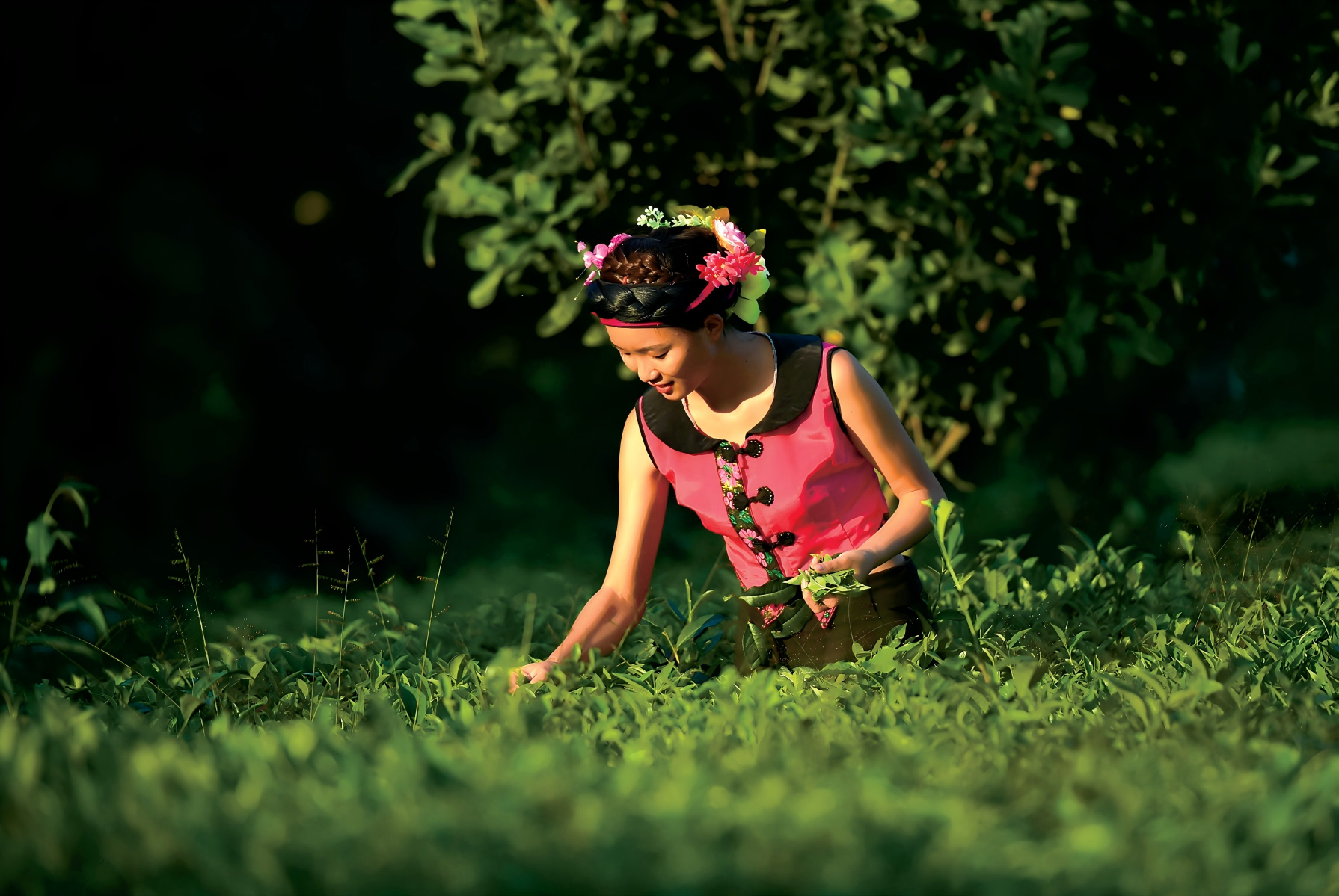 1772777474777098968.png 1772777474777098968.png