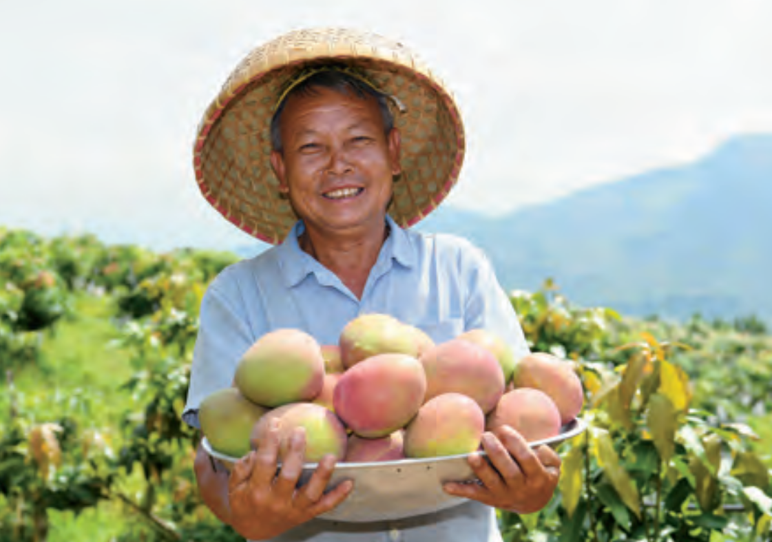 1775627995466046680.png image.png