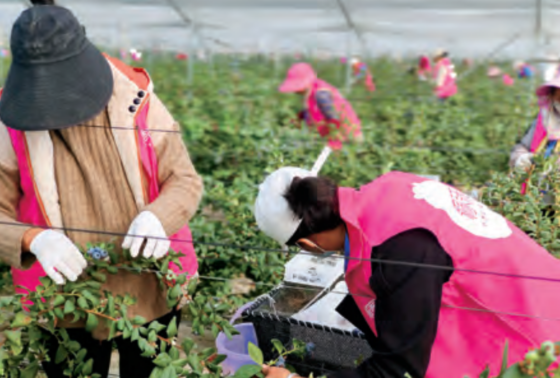 1775628041453067855.png image.png