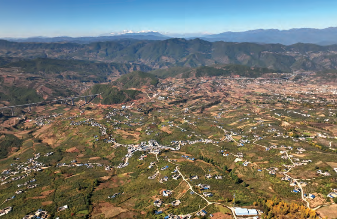 1775628066331090280.png image.png