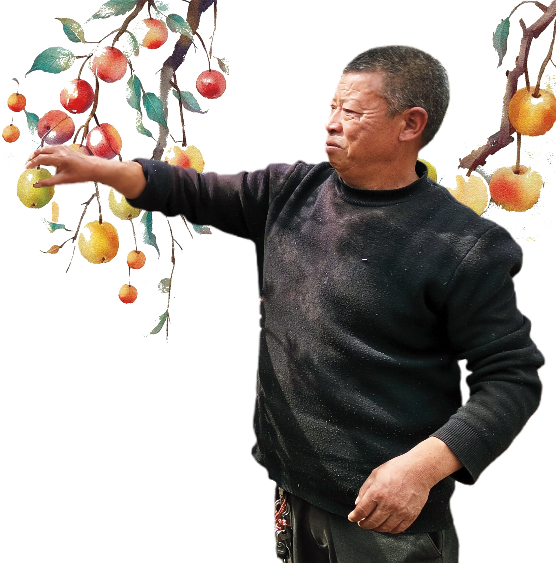 刘正富：播洒果香漫白沙