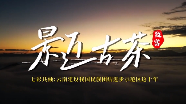 云南建设我国民族团结进步示范区这十年系列微视频之景迈古茶