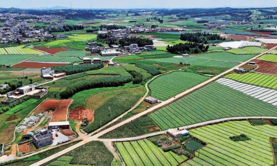 沙林石林携手  共绘“诗与远方”