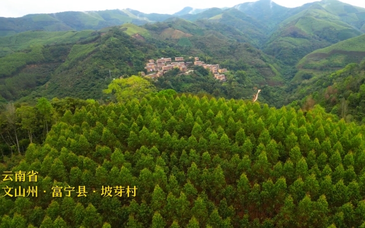 云南建设我国民族团结进步示范区这十年系列微视频之坡芽之歌