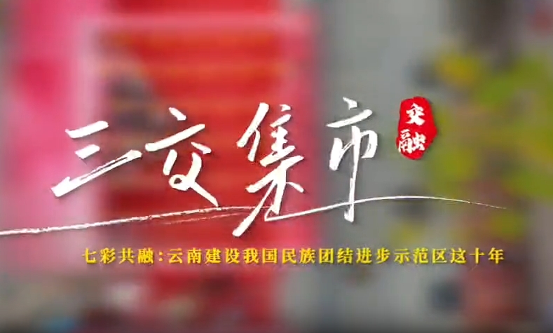 云南建设我国民族团结进步示范区这十年系列微视频之三交集市