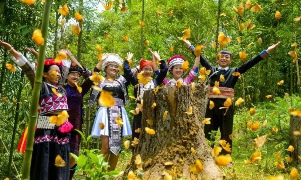 “亿”只蝴蝶，舞动金平文旅新画卷