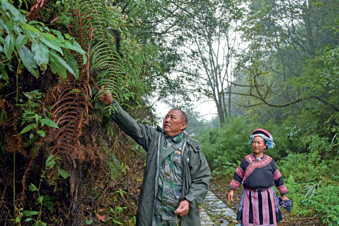 熊光泽：抬头看见月光中的奶奶