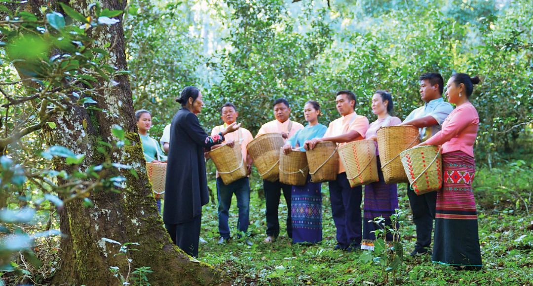 榜样｜和乡亲们一起走在 “好日子” 的路上——访普洱澜沧古茶股份有限公司