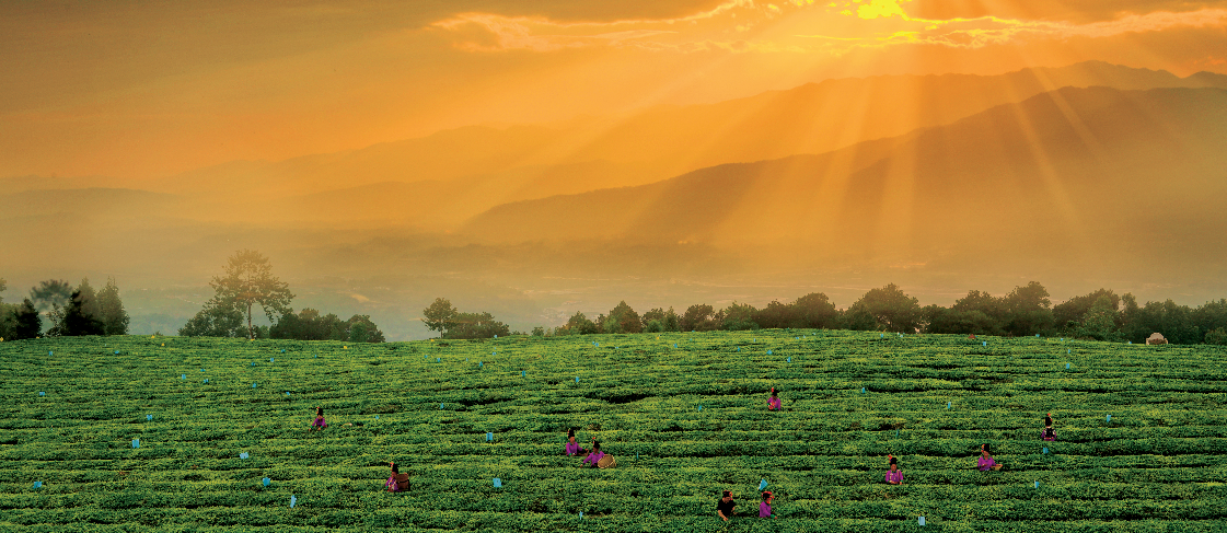 互嵌共融， 奏响幸福乐章