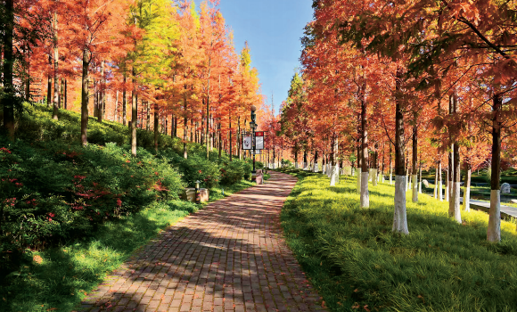 砥砺奋进四十载 携手同心谱华章——漾濞彝族自治县经济社会发展成就纪实