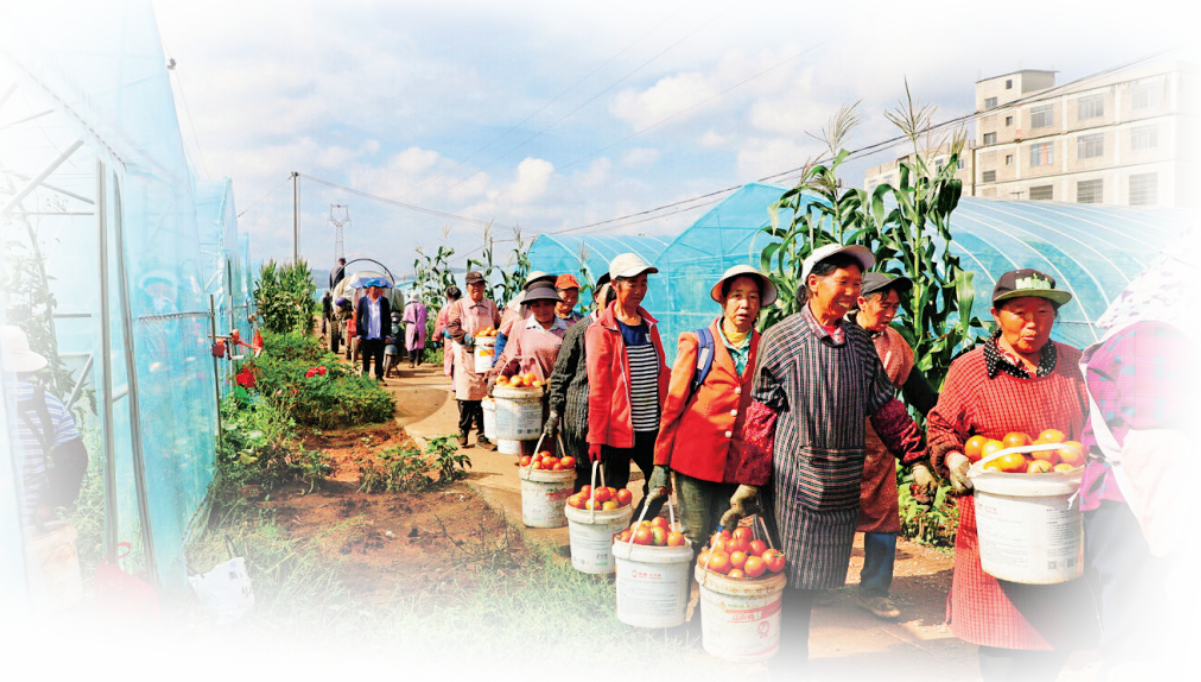 拓宽各民族全方位嵌入的昭通路径口