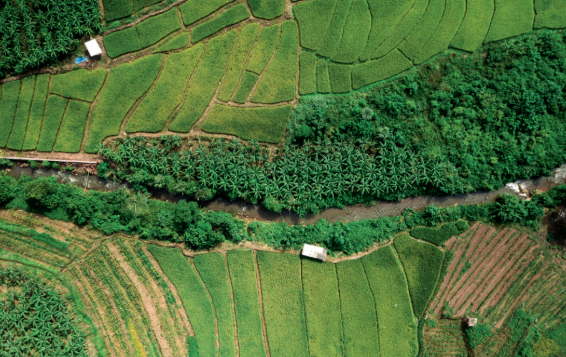  勐腊：业兴村美民富的沿边新篇